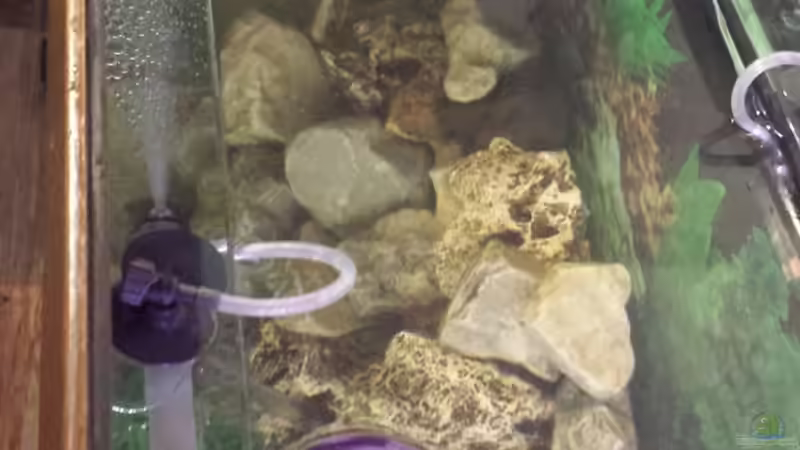 Draufsicht von Oben von Thomas Riemenschneider (5)