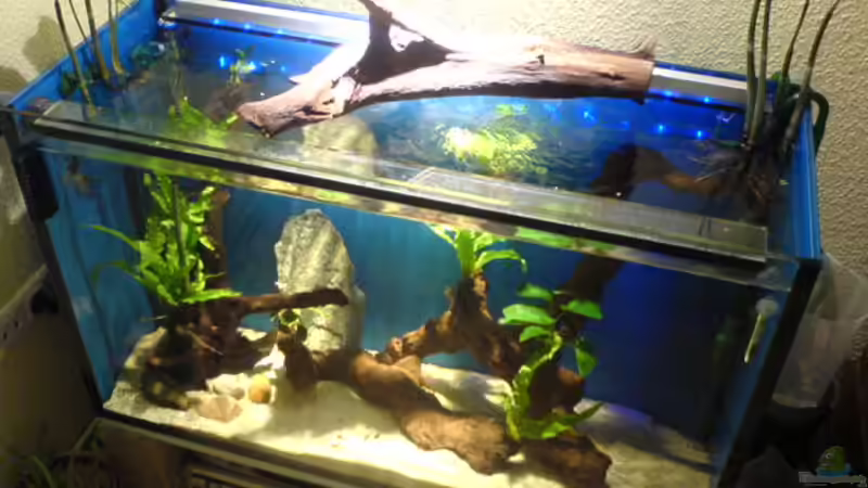 Draufsicht von Ralf Kahl (3)