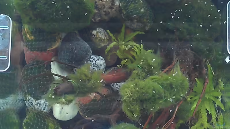 Draufsicht von TinaMarie (5)