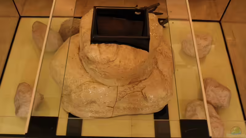 Draufsicht vor dem Sand und dem Wasser von Jörg (7)