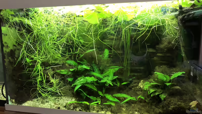 Dreck, Dreck und nochmals Dreck! Teil drei