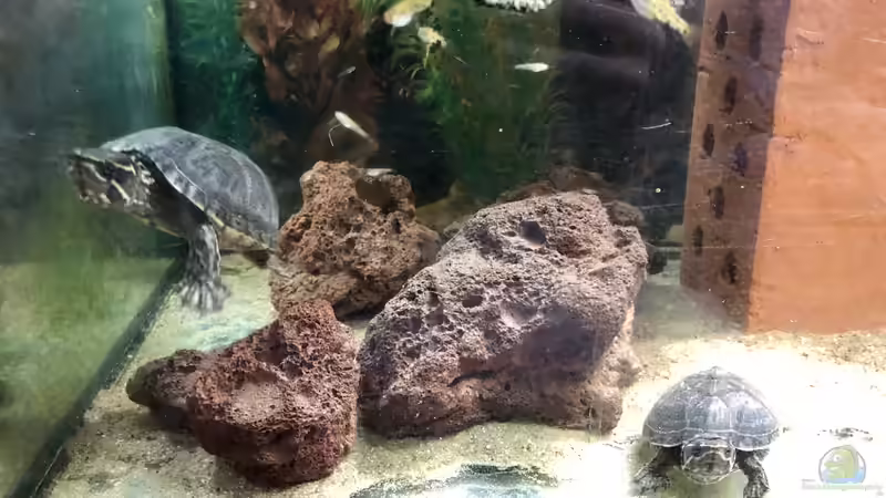 Dreck, Dreck und nochmals Dreck! Teil eins