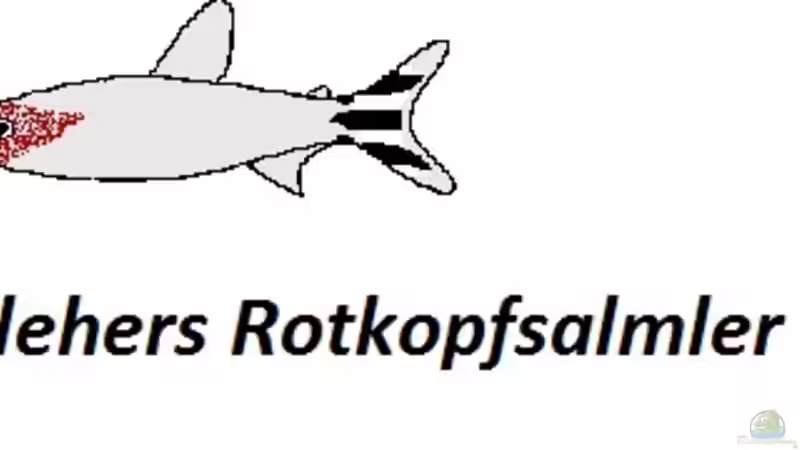 Drei Arten ein aussehen?!?