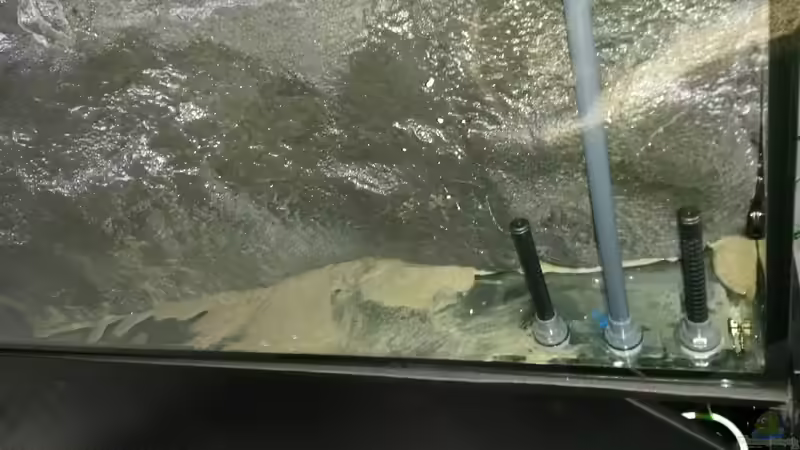 Drei Bohrungen für Filteranschlüsse. Hinter der Rückwand versteckt von spriggina (27)