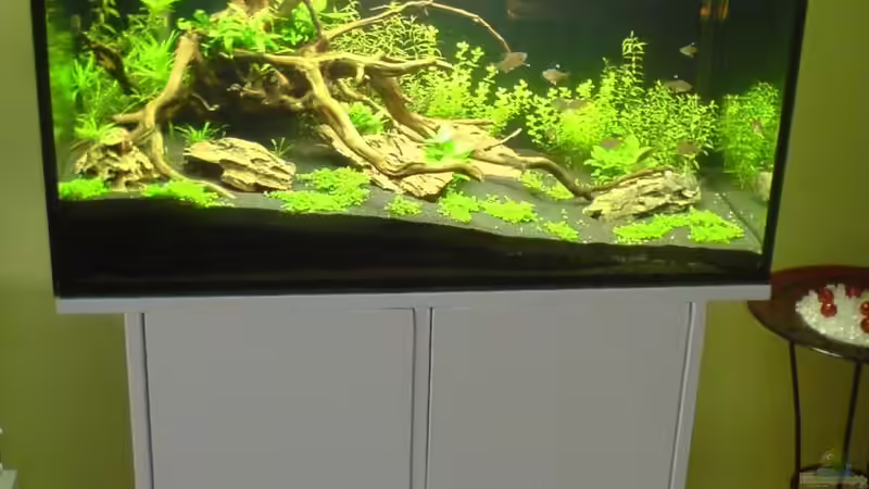 Drei Wochen nach Neueinrichtung von Gunnar Otte (6)