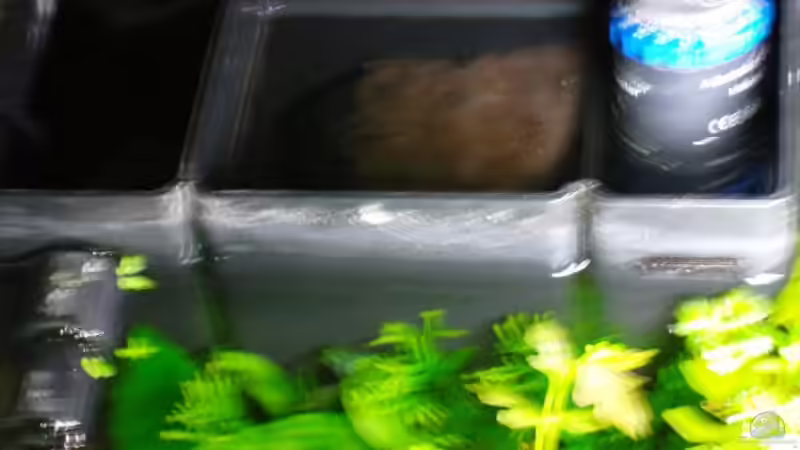 Dreikammer Innenfilter mit Heizstab von Aquarienfreund44 (13)
