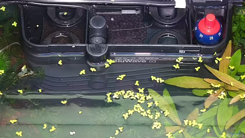 Dreikammerfilter von hej kompisar (19)