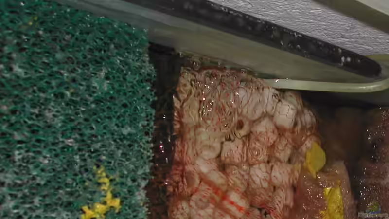 Dreikammerfilter von oben von Thomas Röckemann (4)