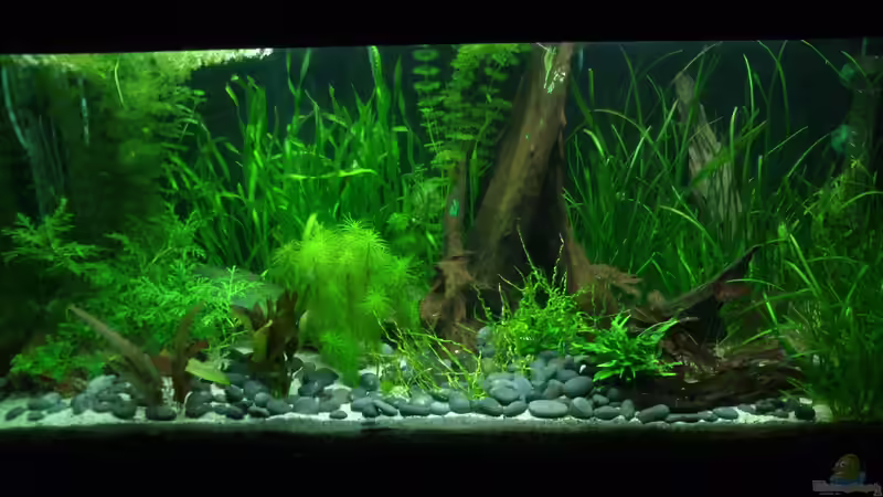 Drittes Hauptbild von Fuujida (3)