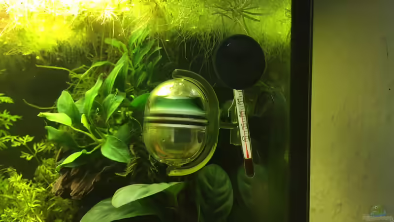 DropCheck und Thermometer von DavidK31 (13)