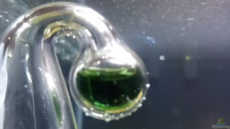 Dropchecker von Sandro (13)