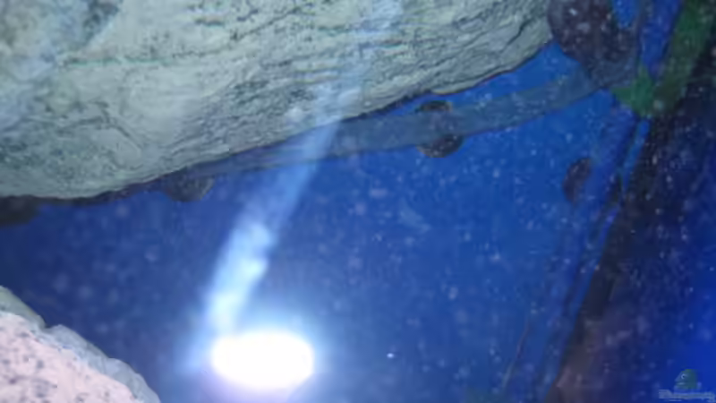 Druckrohr mechanisch mit Diffusor und biologisch duchsichtiger schlauch von Simmal (14)