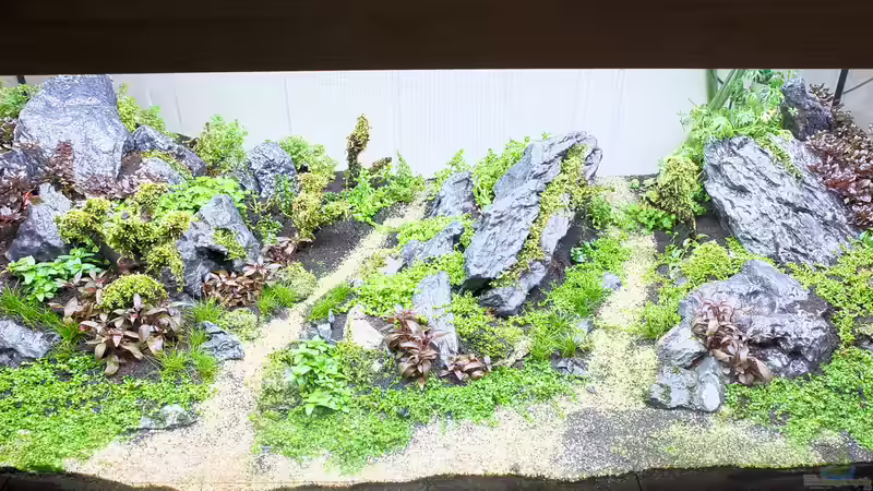 Dry Start  von rorchi (27)