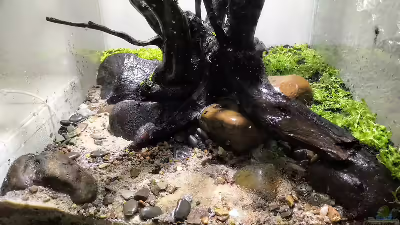 DryStart von koba2 (14)