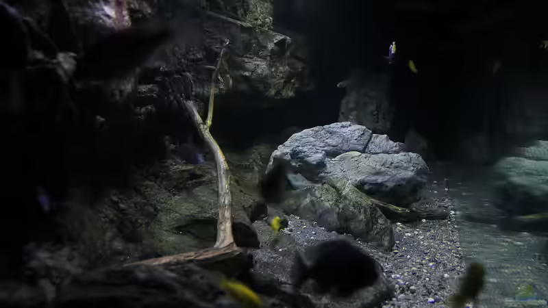 duch die Seitenscheibe von Sebastian O. (4)