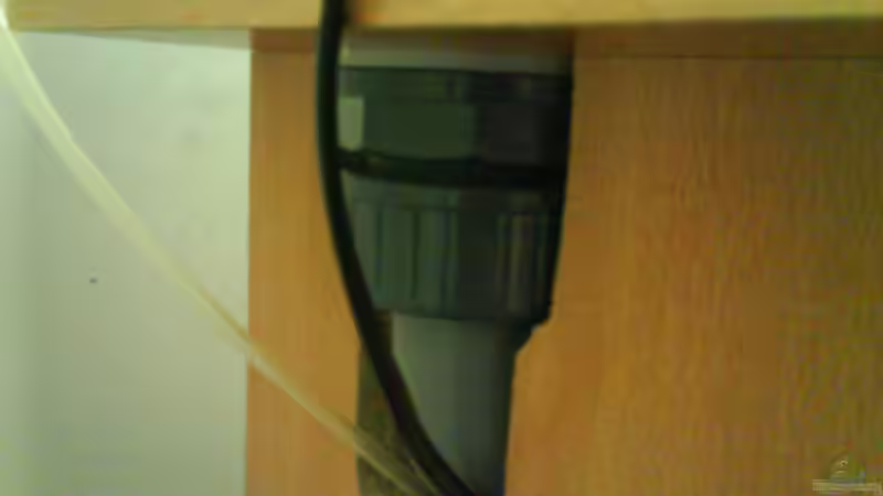 Duchführung von Der Harzer. (15)