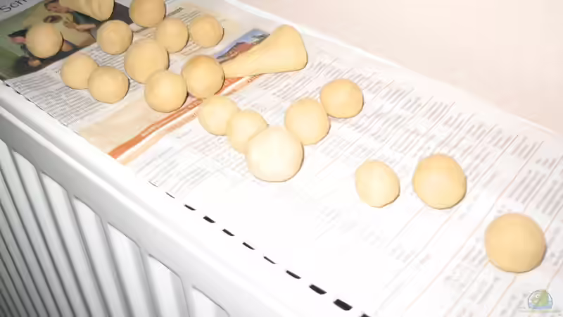 Düngekugeln und Keile aus Ton von der Theoretiker (50)