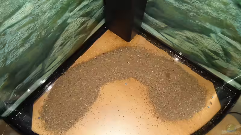 Dünger 24.07.2015 von atom010 (19)