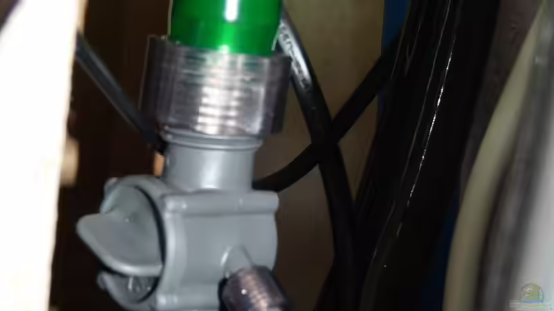 Düngereinspeisung von Ravenclaw57 (32)