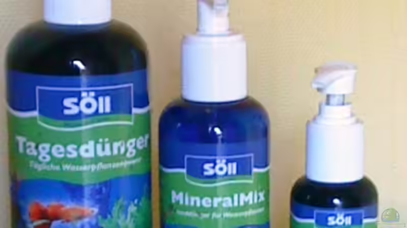 Düngesysteme für Aquarienpflanzen - Ein umfassender Leitfaden für gesundes Pflanzenwachstum im Aquarium