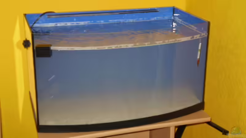 dünne Sandschicht und Wasser nun im Becken von Sven K. (4)