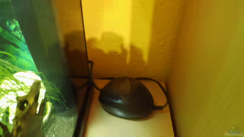 Dürchlüfterpumpe von aqua david (19)