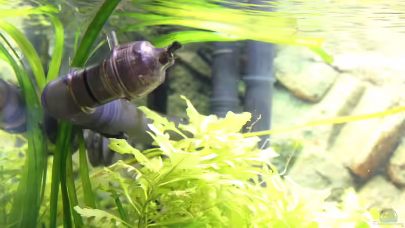 Düse/Ansaugrohr Außenfilter Eheim von JessiKa265 (11)