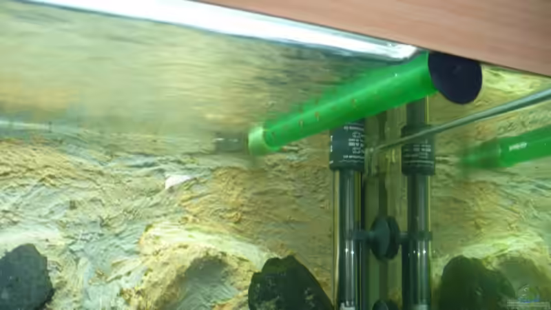 Düsenrohr; quer übers Becken montiert von Knut Hillmer (13)