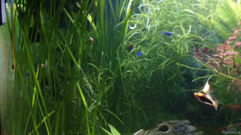 dunkle ecke von Inai Whang (31)