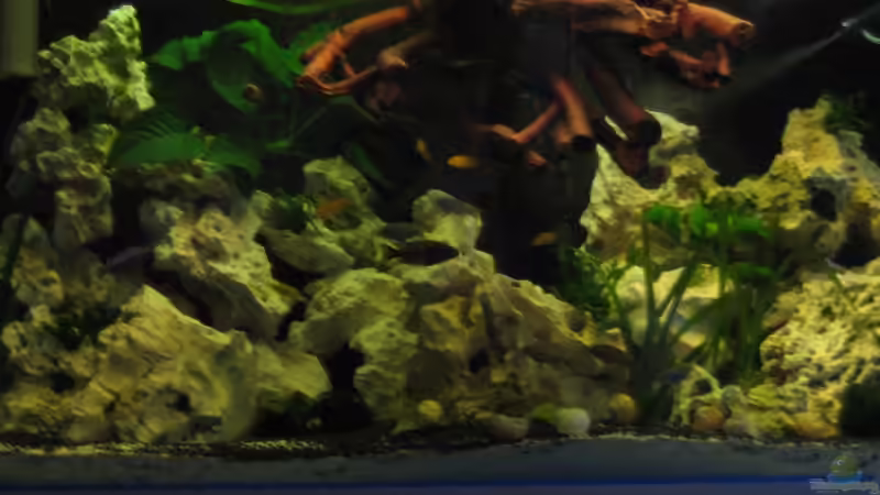 dunkleres Licht 28.10.10 von Sky1706 (13)