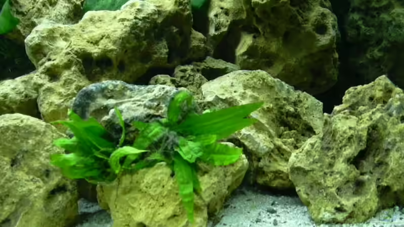 Dunkles Lochgestein von djhitek (9)