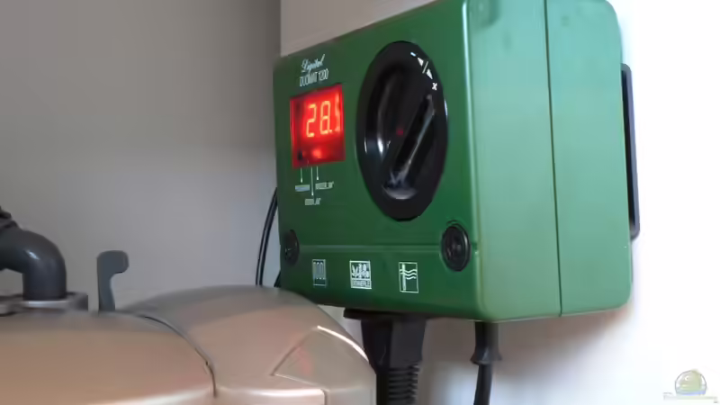 Duomat von Der Nicky (75)