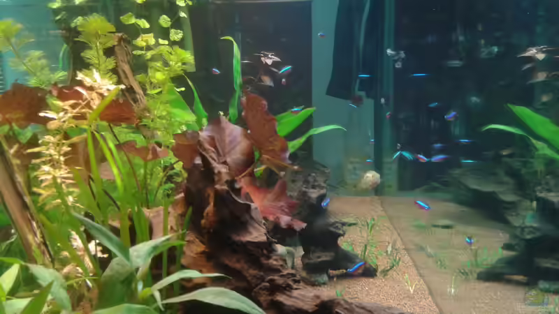 Durch die linke Seitenscheibe von Kai Heermann (14)