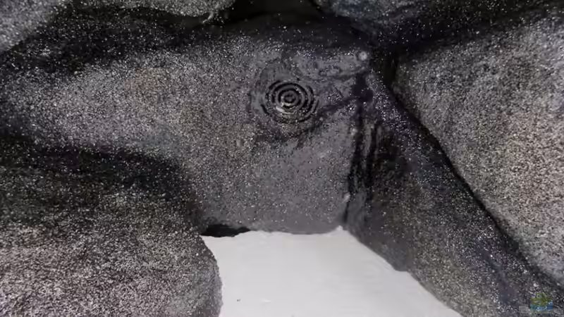 Durchfluss für Auslass Wasserwechsel von bossie1704 (27)