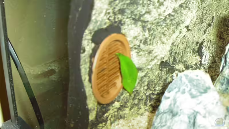 Durchfluß hinter Rückwand von Alexander Uschkoreit (10)