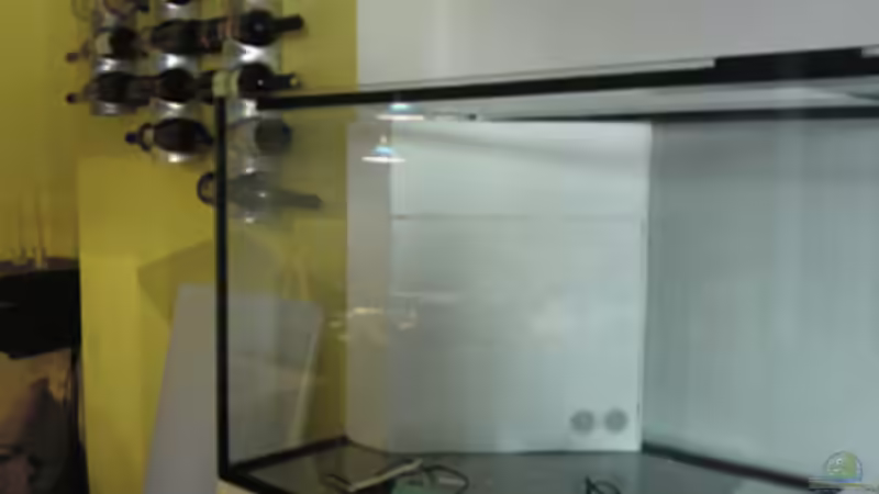 Durchlass für den Innenfilter von Christian Jung (9)