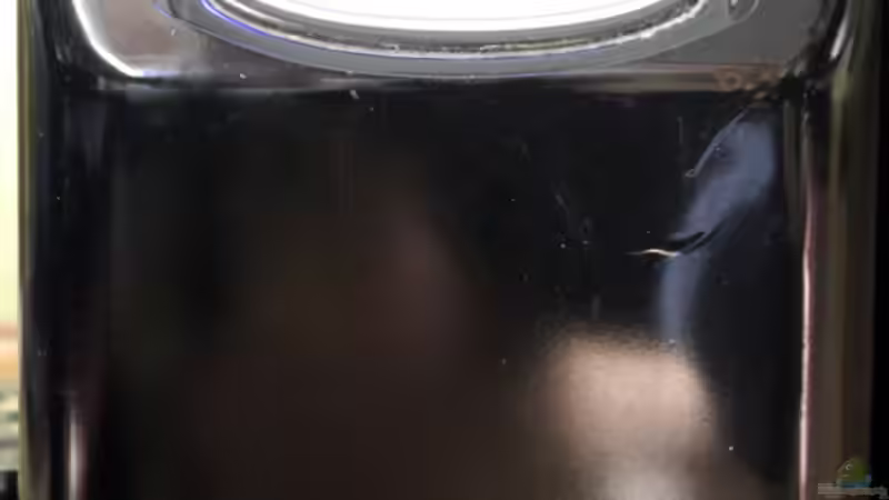 Durchlaufkühler TC10 mit UVC und Heizstab 300W von The_Lizardking (17)