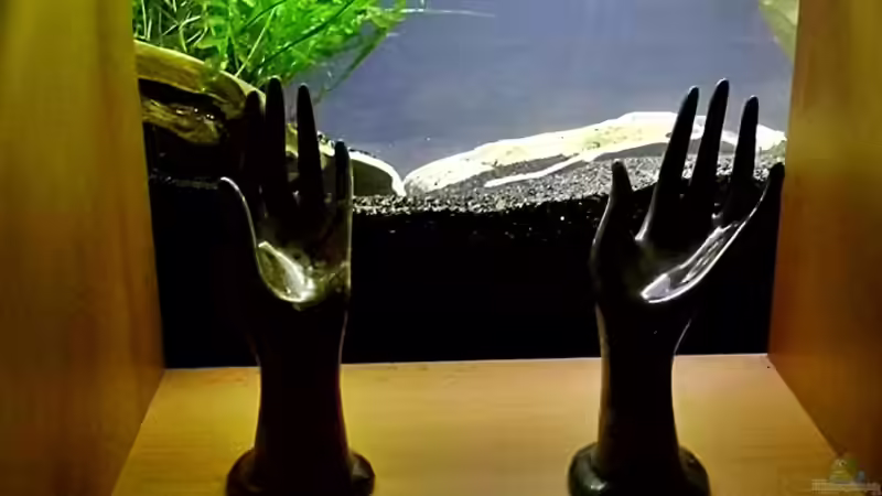 Durchsicht durch den Raumteiler Stand  09.02.2014 von snooze (7)