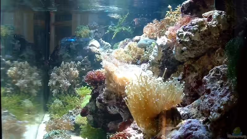 Durchsicht von der rechten Seitenscheibe. von Rolf Mohr (17)