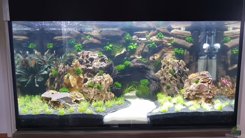 E von Björn Wanjelik (2)