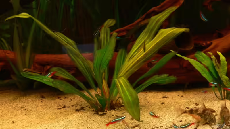 E04 von Lexterpower (8)