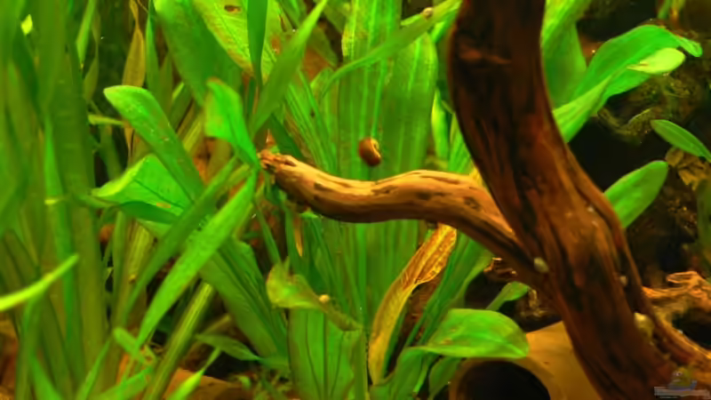 E04 von Lexterpower (8)