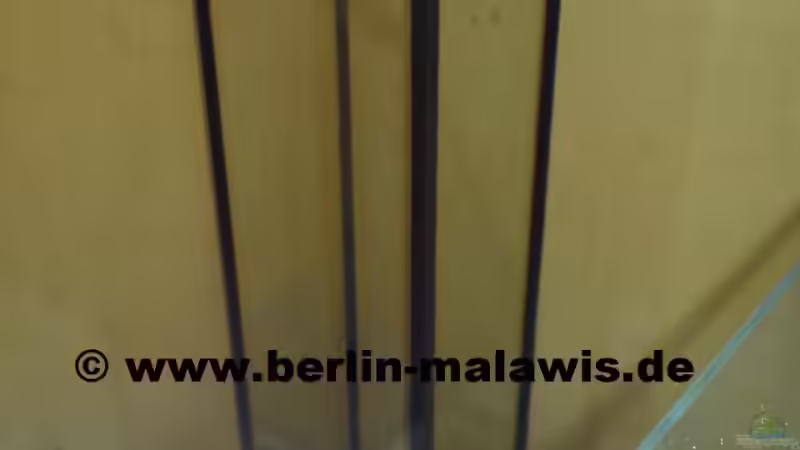 EB 16 L Rieselfilterschacht leer von *www.berlin-malawis.de* (3)