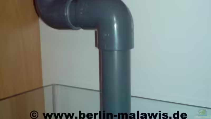 EB Kammer 1 Einlaufkammer + Ablauf von *www.berlin-malawis.de* (7)