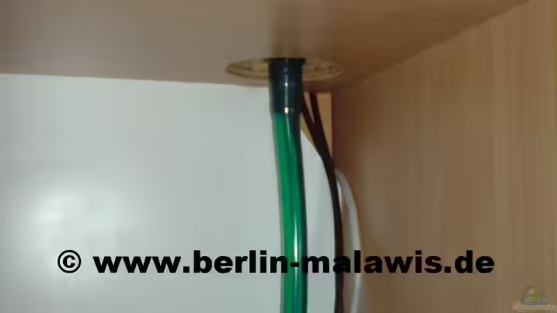 EB Zulaufmit Schlauch von *www.berlin-malawis.de* (12)