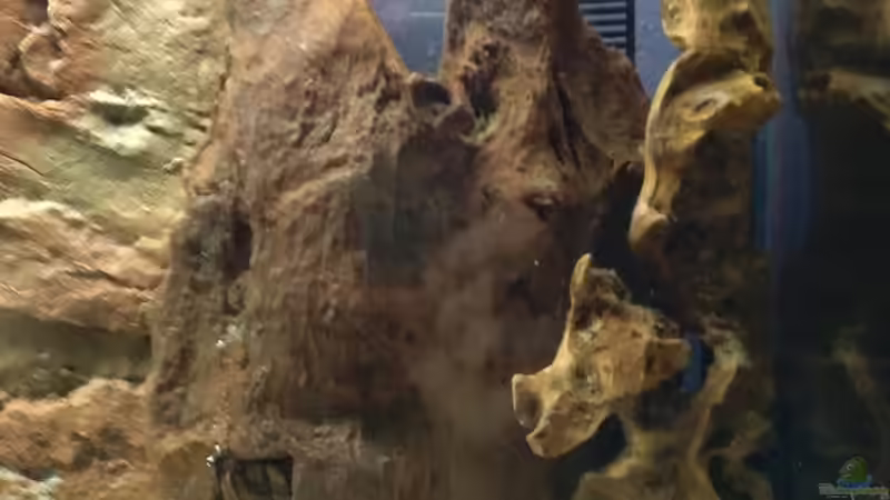 Echtholzverkleidung für den Ablaufschacht von Kai Heermann (5)