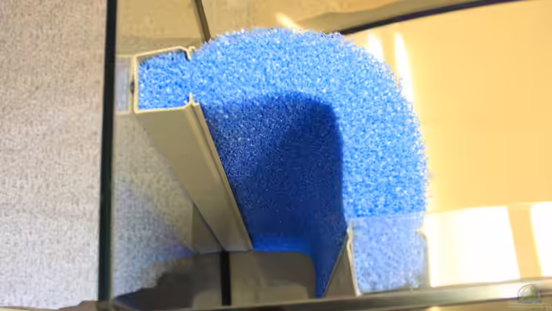 Eck HMF von Borg (16)