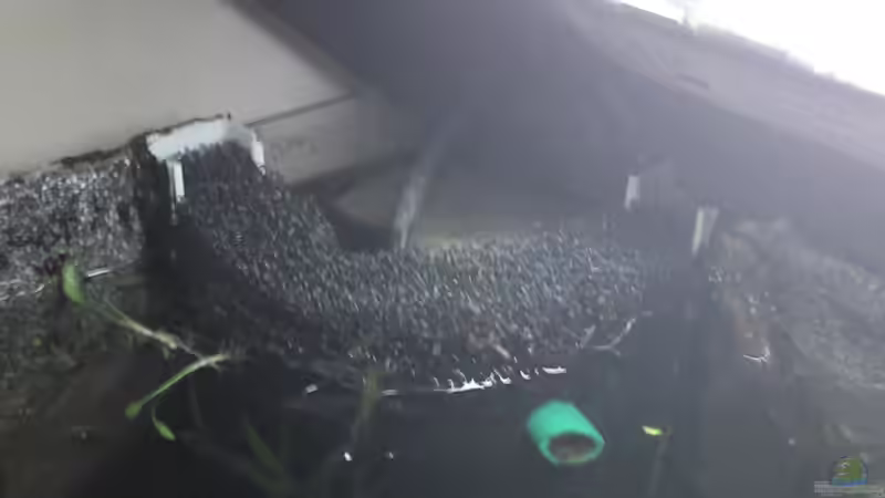 Eck-HMF von Patrick Scheffer (15)