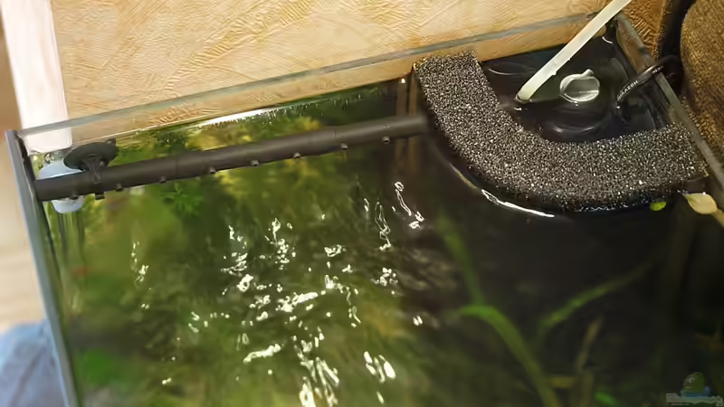 Eck HMF von rapid (37)