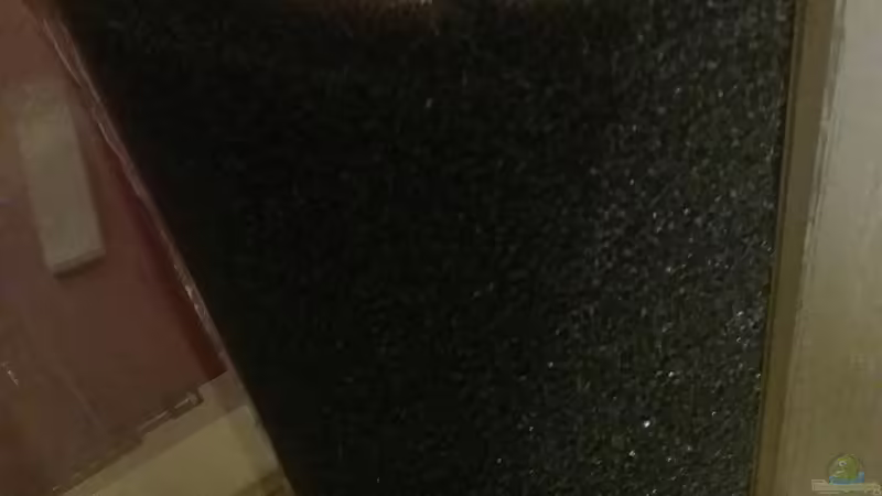 Eck-HMF von Stefano83 (23)